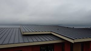 Best Sheet Metal Roofing  in Stanton, KY